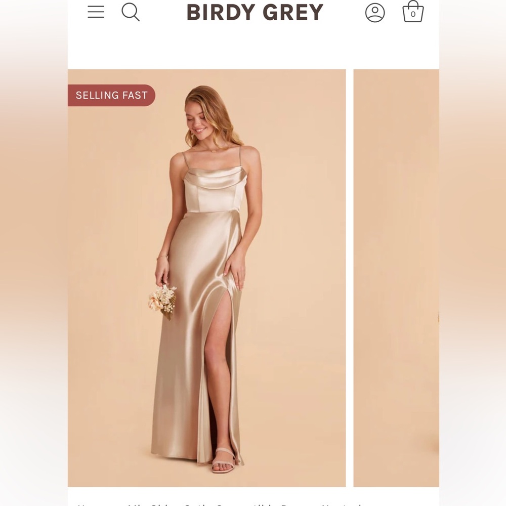 Champagne Silk Dress